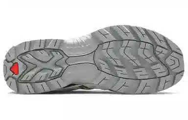 Salomon XT-Quest Advanced White