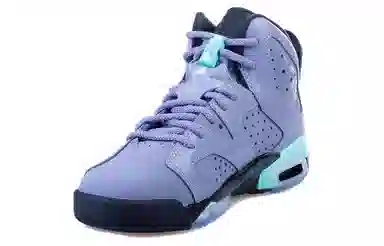Jordan Air Jordan 6 Retro Iron Purple