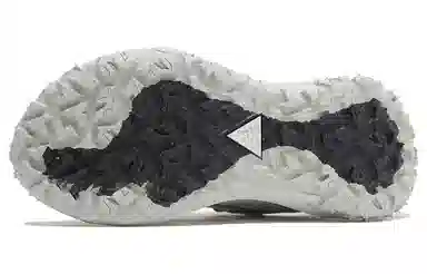 Nike ACG Mountain Fly Low 2 Grey