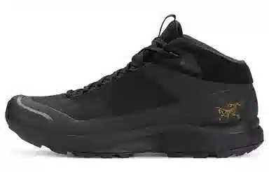 Arcteryx Aerios Fl 2 Mid GTX