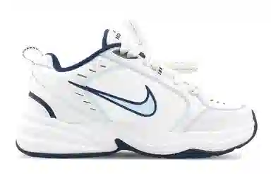 Nike Air Monarch 4