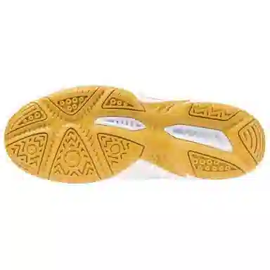 Mizuno Gate Sky Plus 4