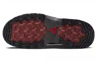 Nike ACG Air Zoom Gaiadome GTX Brown Black