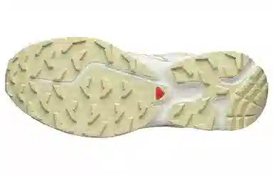 Salomon XT-6 Expanse Cottage Core