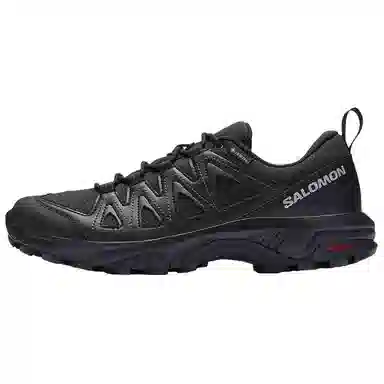 Salomon X Braze GTX