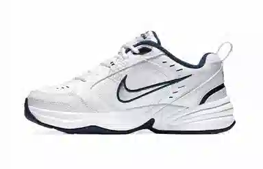 Nike Air Monarch 4 Purple