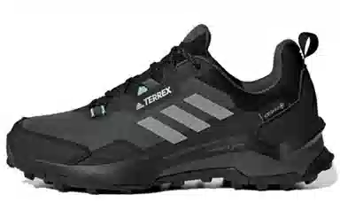 adidas Terrex Ax4 GTX