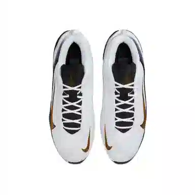 Nike G.T. Jump Academy EP White Black Metallic Gold