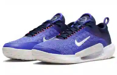 Nike Zoom Court NXT HC