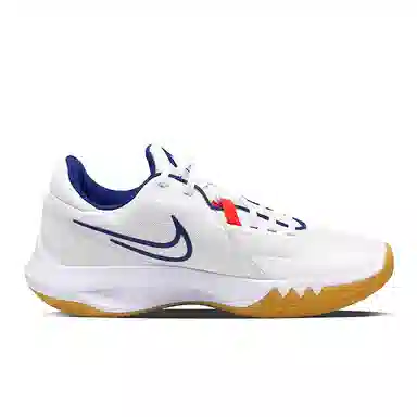 Nike Precision 6