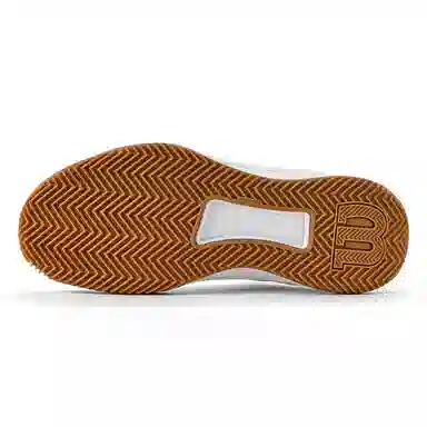 Wilson Intrigue Tour