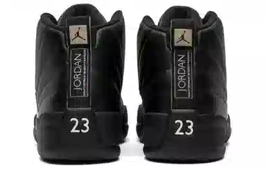 Jordan Air Jordan 12 Retro "The Master"