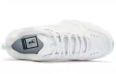 Jordan Samoyed White Blue