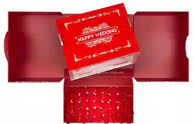 LiNing YuShuai 13 Low "Rose City"