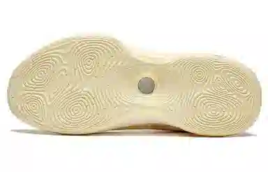 LiNing Evolution Low