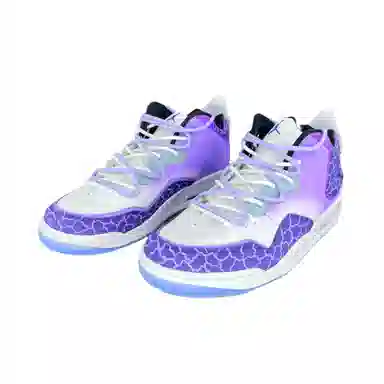 Jordan Courtside 23 HEN-