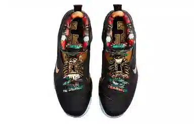 Nike Lebron 9 "King"