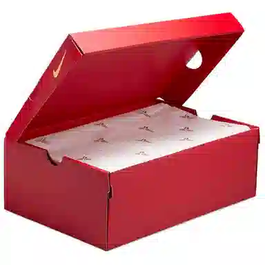 Nike Kobe 5 Protro "Year of the Mamba"