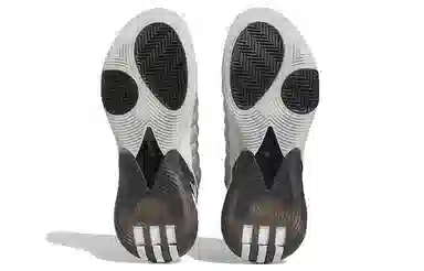 adidas Harden Vol.7 Silver Black