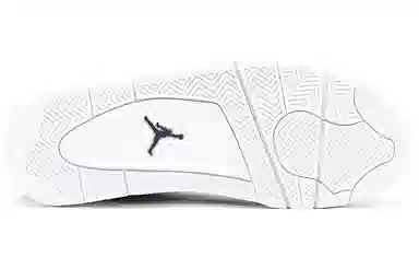 Jordan Air Jordan 4 Retro Silver Anniversary