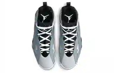 Jordan True Flight Cool Grey