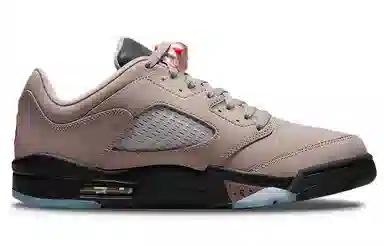 Jordan Air Jordan 5 Retro Low PSG