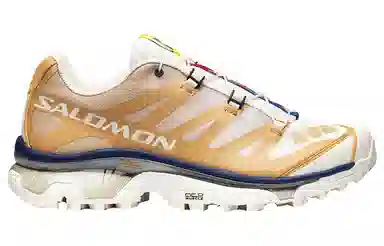 Salomon XT-4 Brown