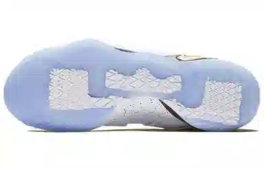 Nike Zoom Soldier 11 LeBron Court General