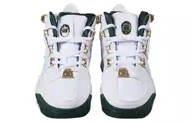 Nike Lebron 3 Zoom 3