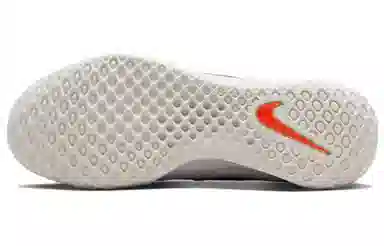 Nike Zoom Court NXT HC
