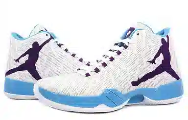 Jordan Air Jordan 29