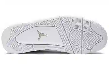 Jordan Air Jordan 4 retro snakeskin