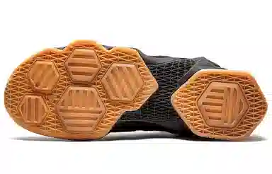 Nike Lebron 13 Black Lion