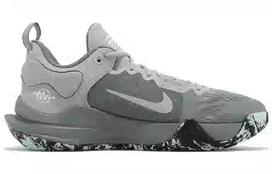 Nike Giannis Immortality 2 EP Grey