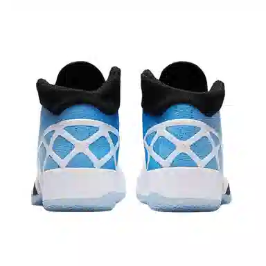 Air Jordan 30 UNC