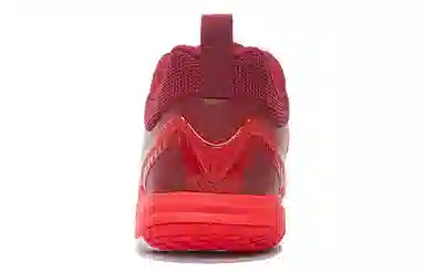 LiNing Chameleon 6.0