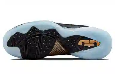 Nike Lebron 9 "King"