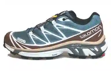 Salomon XT-6