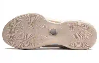 LiNing Evolution LOW