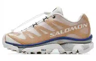 Salomon XT-4 Brown