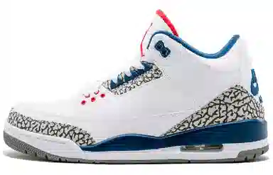 Jordan Air Jordan 3 Retro True Blue 2016