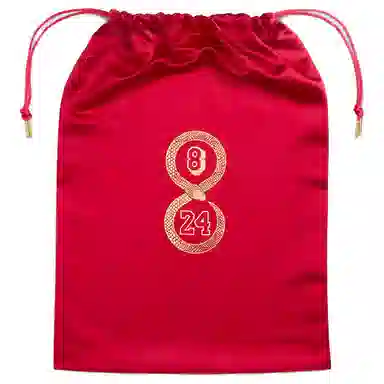 Nike Kobe 5 Protro "Year of the Mamba"