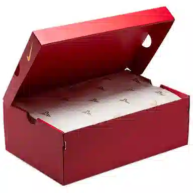 Nike Kobe 5 Protro "Year of the Mamba"