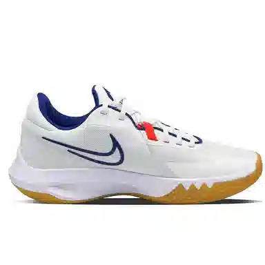 Nike Precision 6
