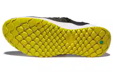 Timberland Solar Wave