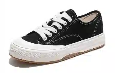 Feiyue Low Canvas Sneakers Black