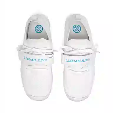 LUXIAOJUN Training Shoes