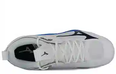 Mizuno Wave Momentum 2