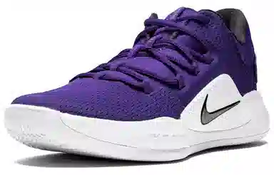 Nike Hyperdunk X Low White Purple