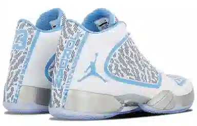 Jordan Jordan 29 Pantone